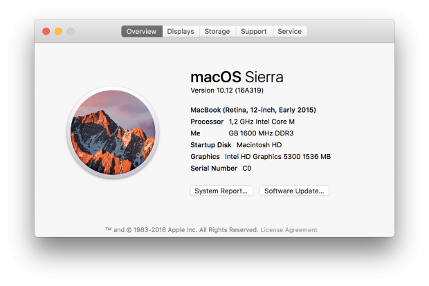 Sierra ist installiert. (Screenshot: Golem.de)